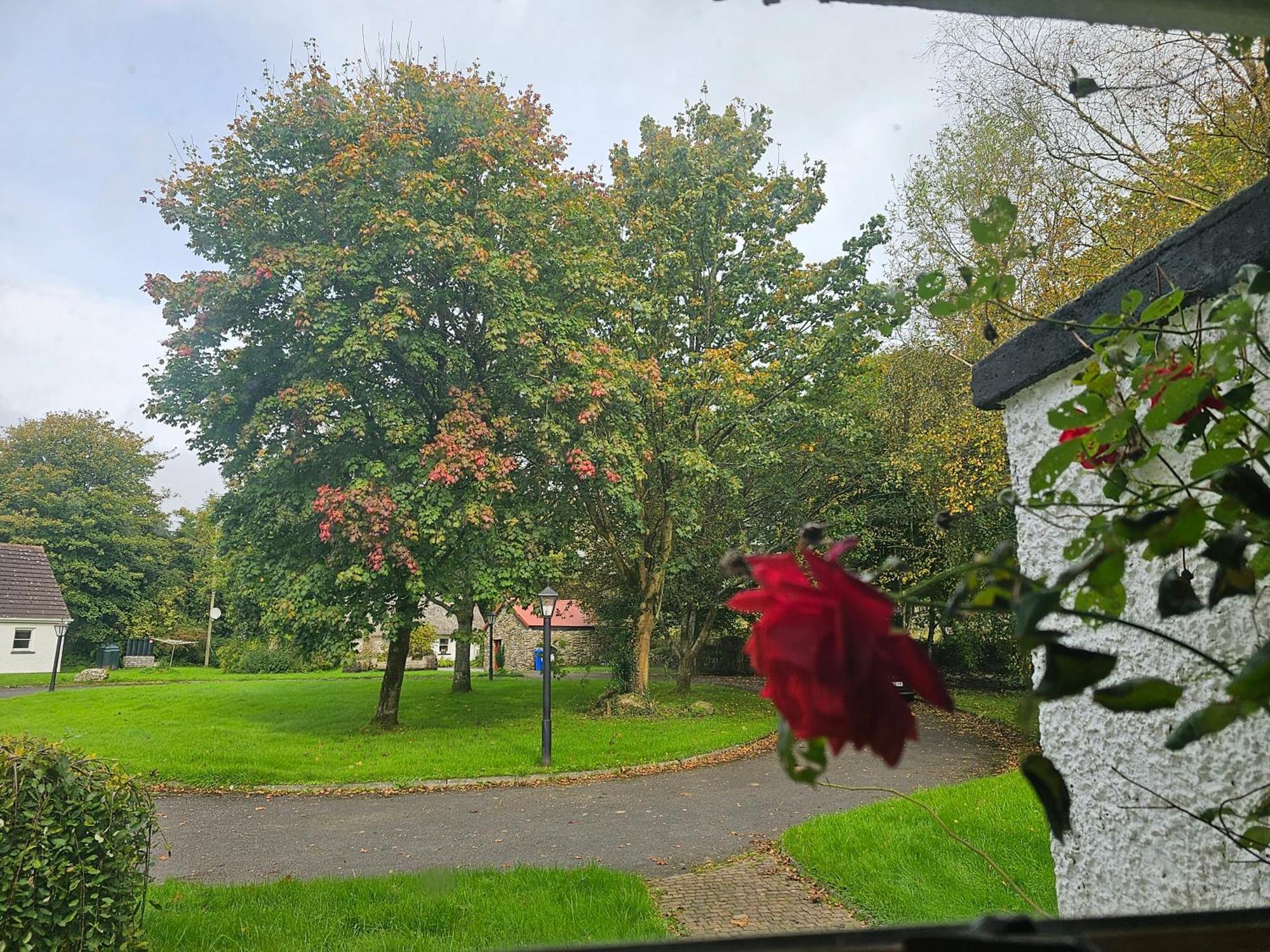 Longford Holiday Red Rose Self Catering Cottage 外观 照片
